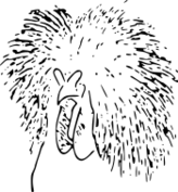 ファイル:鶏冠（毛状冠）.svg